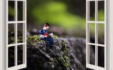 华为读书软件，不止于阅读，更是一扇通往广阔世界的窗