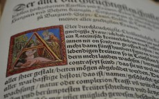 华为之华，不止于名，更是魂之所系