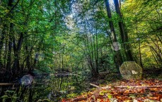 华为HDR怎么用？一篇教程让你轻松玩转高动态范围成像