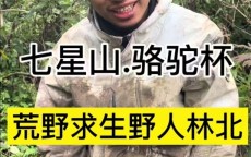 七星山荒野求生之林北篇【我押他是最终赢家】