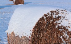 西伯利亚V2霜冻之蓝耳机测评，寒冷冬日里的温暖之声,赛睿西伯利亚200和霜冻之蓝区别