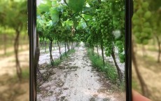 各品牌手机旗舰机测评，谁才是真正的旗舰之选？