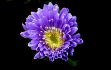 华为手机变红，不只是颜色革命，更是中国科技的精神图腾