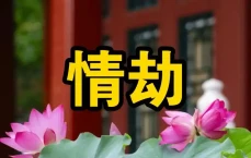 何为情劫[情劫如何度过]