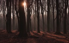 南京华为相亲，当狼性文化遇上月老红线