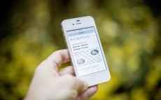 朵唯智能屏戒网手机测评，守护你的数字世界,朵唯智能手机图片及价格