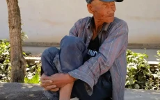 82岁老人写高考作文引关注[火的一塌糊涂]