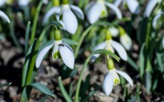 手机测评，2023年3月5日最新动态与技术趋势分析,手机测评23年3月5日