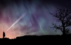 那一闪一闪的心跳，华为手机充电时的小秘密