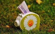 小猪手机测评真实多少钱,小猪手机测评真实多少钱一个