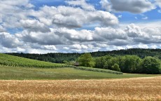 华为杂志锁屏误删恢复全攻略，找回你的每日风景