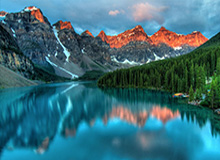 金立最后一款手机测评，传承与创新的交响曲,金立最后一款手机测评视频